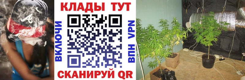 Сколько стоит Лысьва Галлюциногенные грибы Alpha PVP НБОМе Каннабис Гашиш