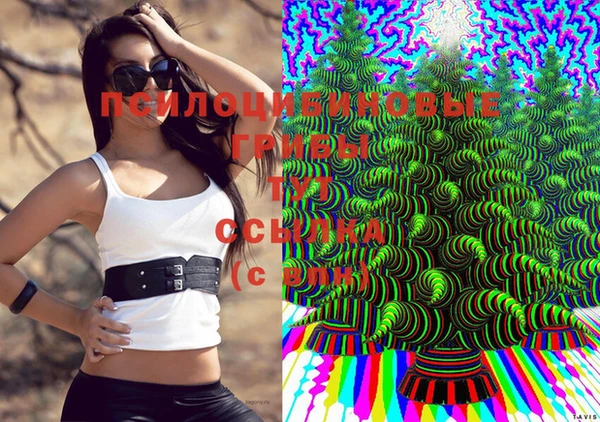 прущая мука Арсеньев