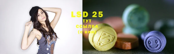 a pvp Аркадак