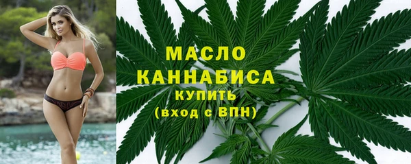тгк Краснослободск