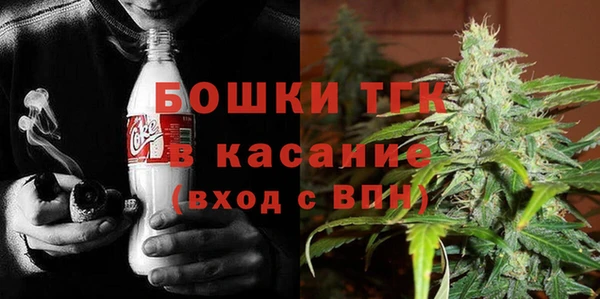 прущая мука Арсеньев
