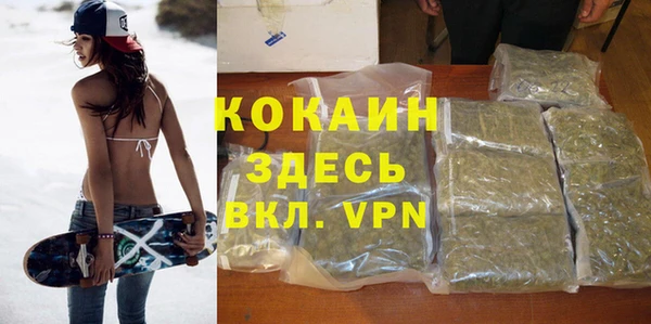 прущая мука Арсеньев