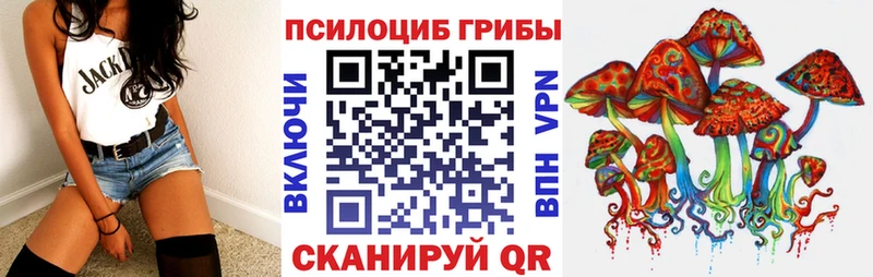 Псилоцибиновые грибы Cubensis  Лысьва 